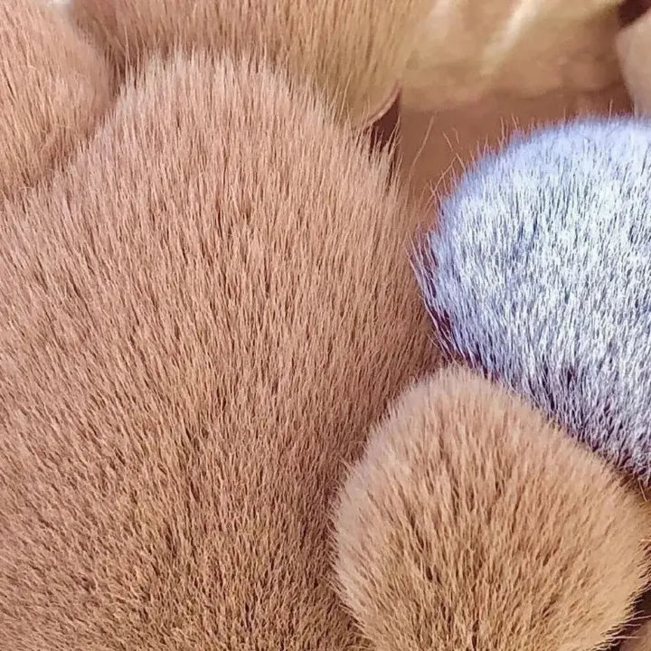 Makeup Brush Set Soft